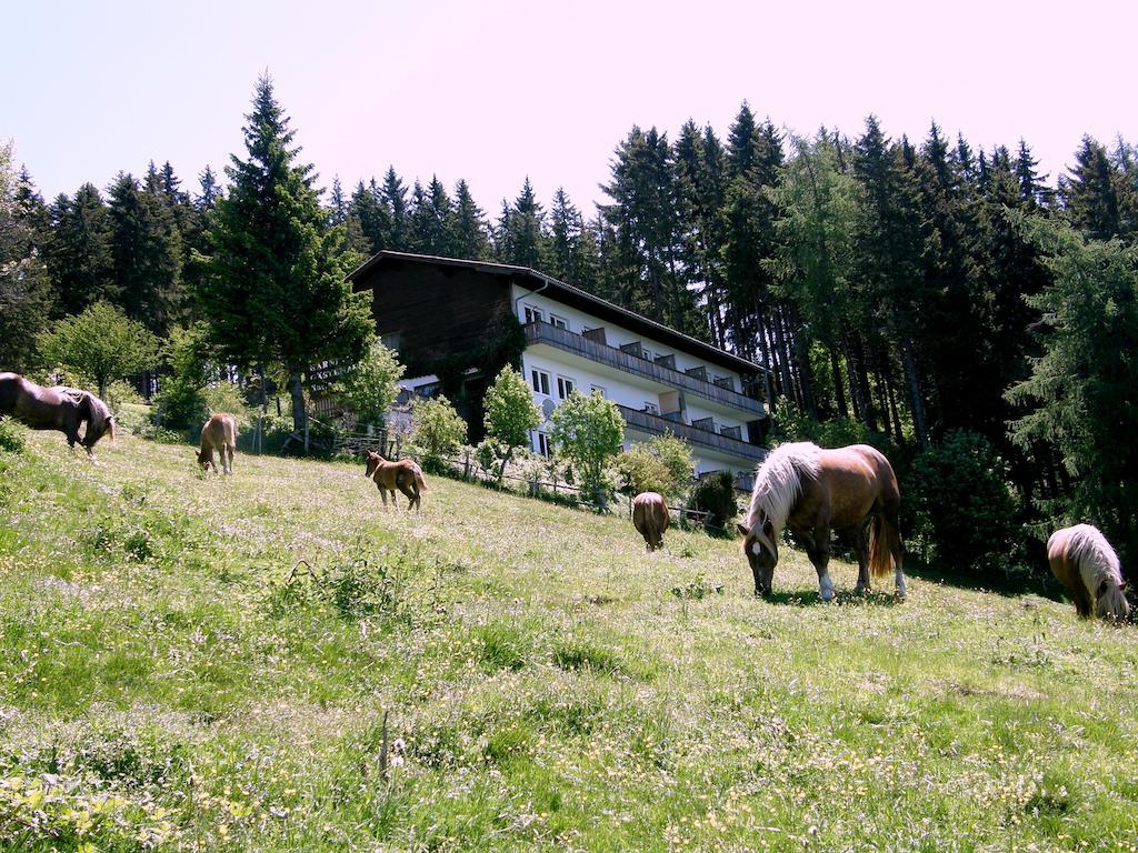 Hotel Garni Gaestehaus Karin Sankt Stefan im Lavanttal Exterior photo